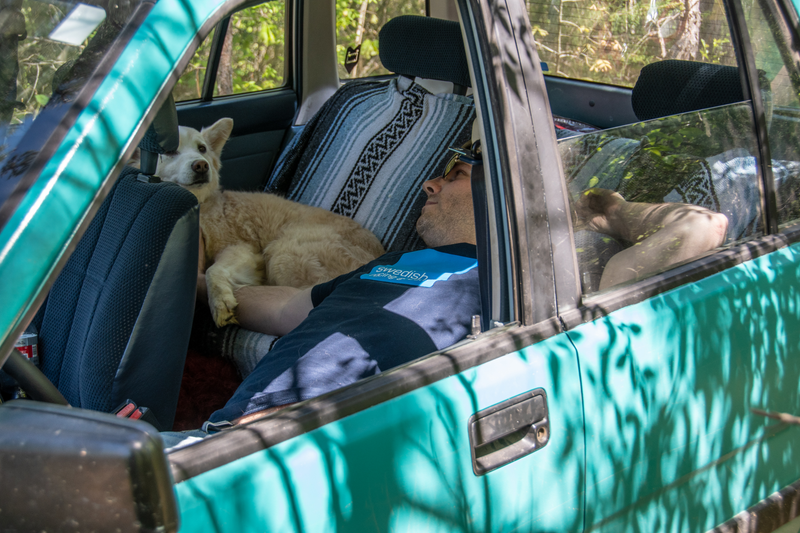 Illustration for article titled But how did the Wagovan do on a 800 mile trip?